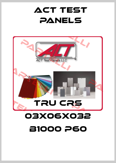 TRU CRS 03X06X032 B1000 P60 Act Test Panels