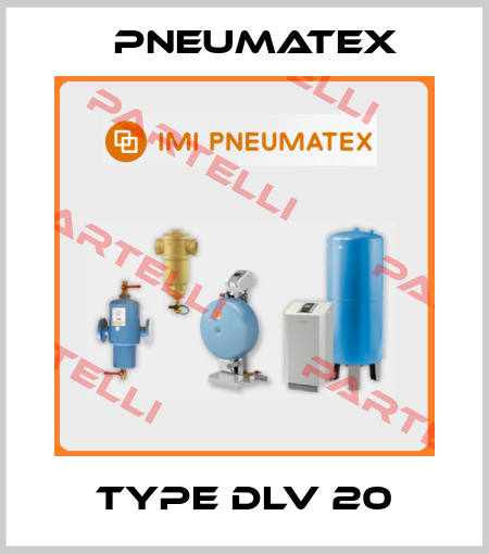 type DLV 20 PNEUMATEX