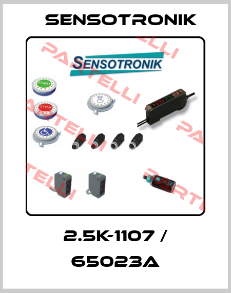  2.5K-1107 / 65023A Sensotronik