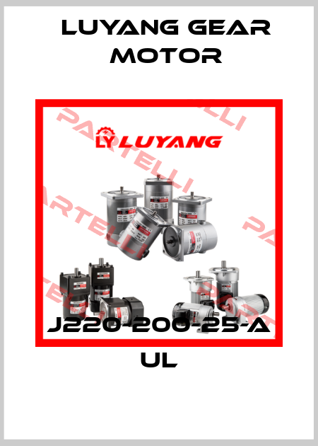 J220-200-25-A UL Luyang Gear Motor