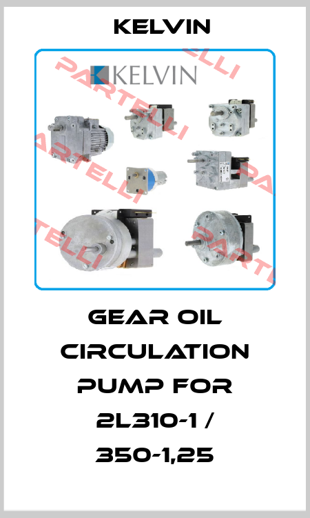 Gear oil circulation pump for 2L310-1 / 350-1,25 Kelvin