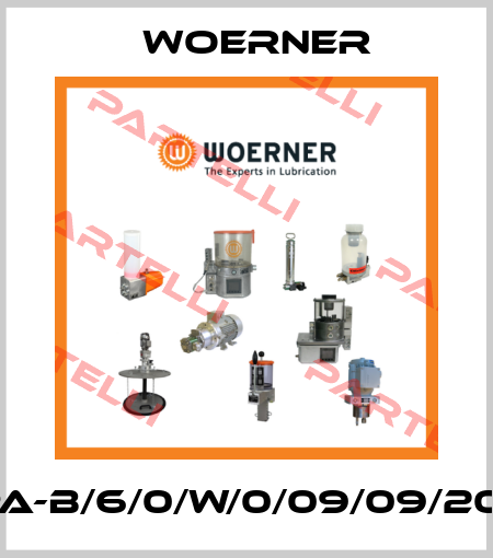 DPA-B/6/0/W/0/09/09/20/V Woerner