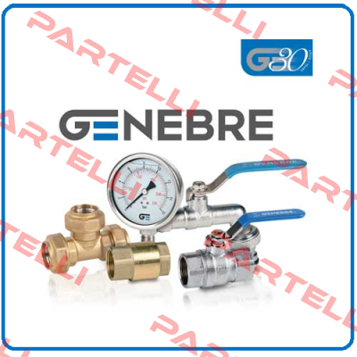 Spring for  Genebre valve  GN-15 S3 F04  Genebre