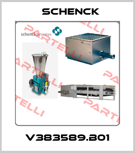 V383589.B01 Schenck