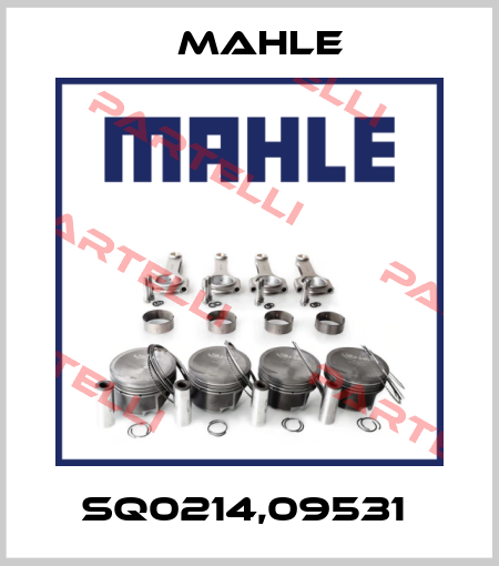 SQ0214,09531  Mahle