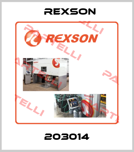 203014 Rexson