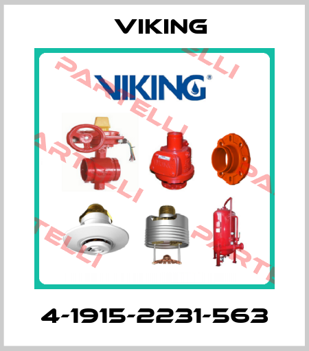 4-1915-2231-563 Viking
