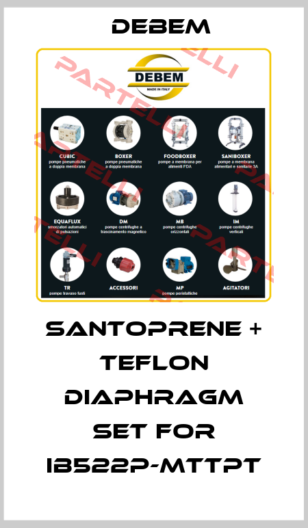Santoprene + teflon diaphragm set for IB522P-MTTPT Debem