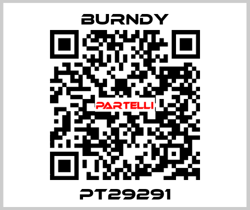 PT29291 Burndy