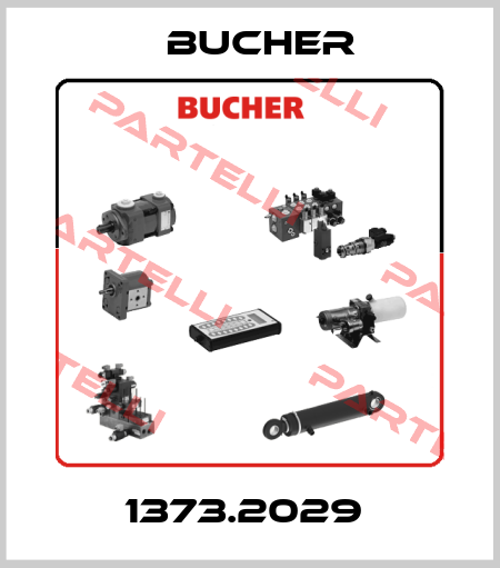1373.2029  Bucher