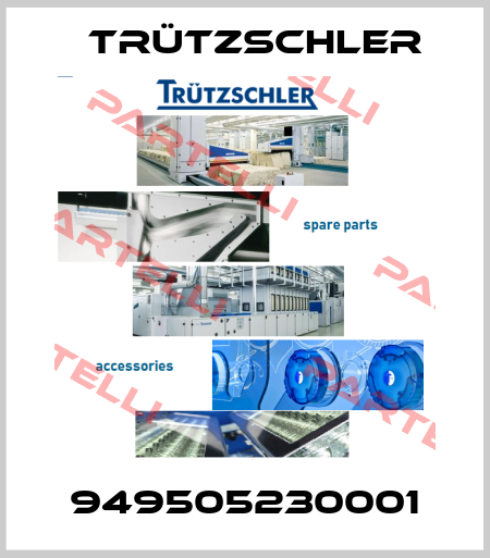 949505230001 Trützschler