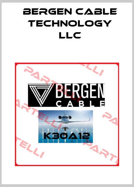K30A12 Bergen Cable Technology Llc