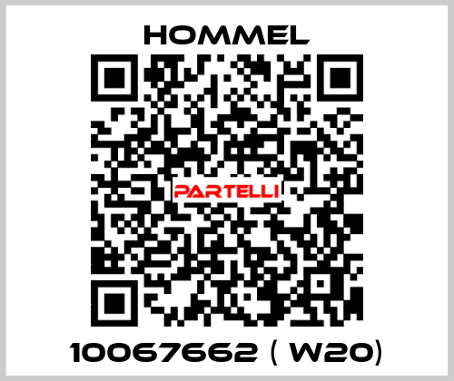 10067662 ( W20) Hommel
