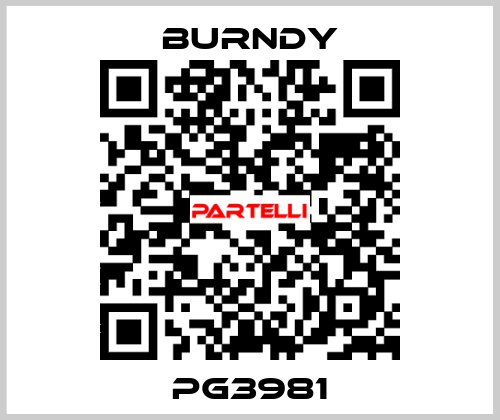 PG3981 Burndy