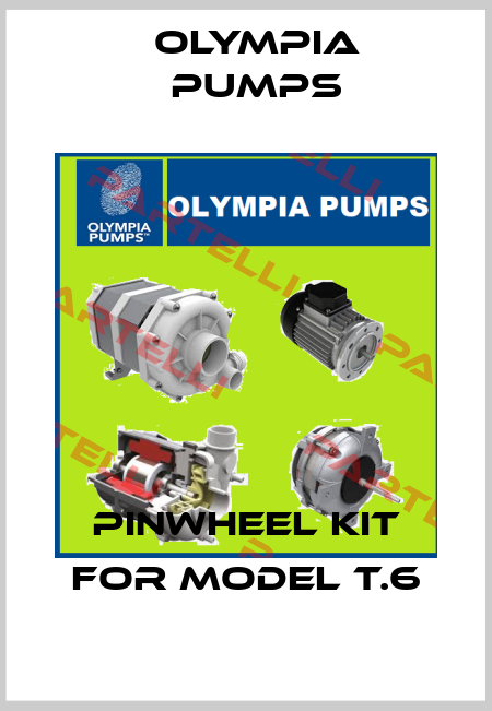 pinwheel kit for Model T.6 OLYMPIA PUMPS