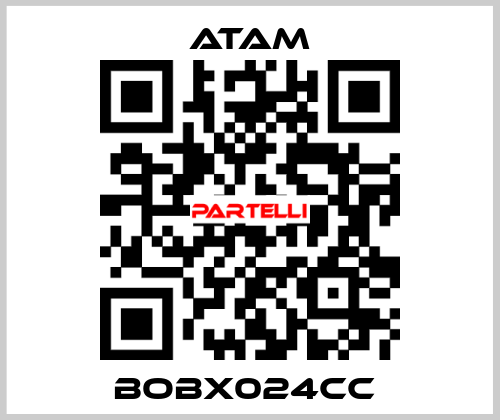 BOBX024CC  ATAM