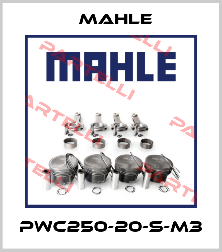 PWC250-20-S-M3 MAHLE