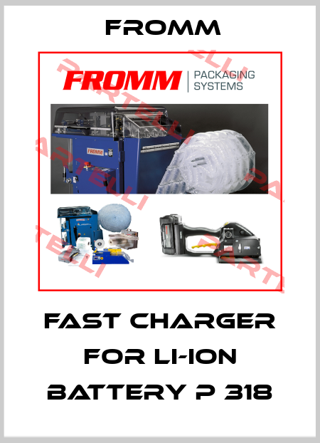 Fast charger for Li-ion battery P 318 FROMM 