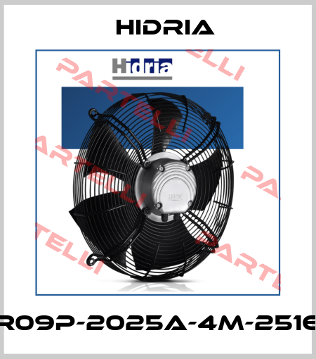 R09P-2025A-4M-2516 Hidria