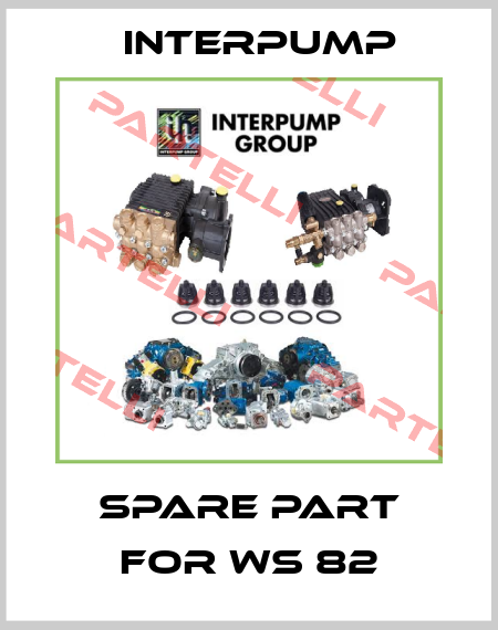 spare part for WS 82 Interpump