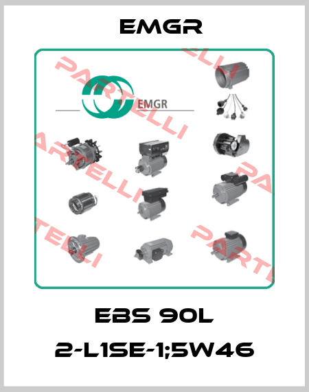 EBS 90L 2-L1SE-1;5W46 Elektromotorenwerk Grünhain 