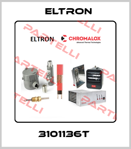 3101136T  Eltron