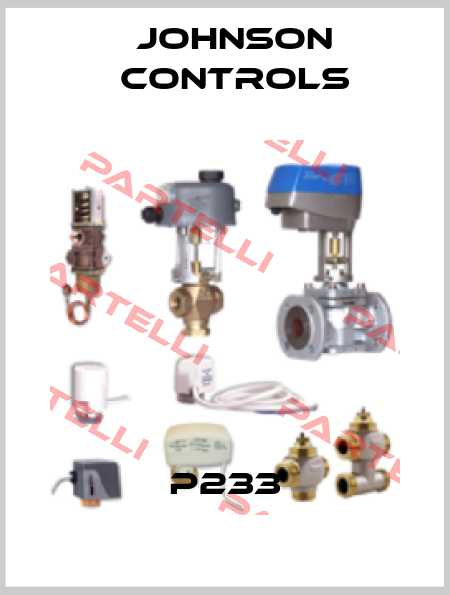 P233 Johnson Controls