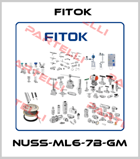 NUSS-ML6-7B-GM Fitok