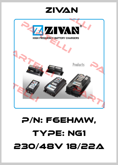 P/N: F6EHMW, Type: NG1 230/48V 18/22A ZIVAN