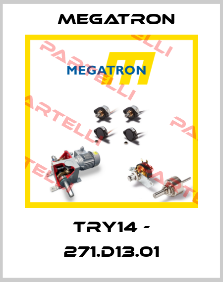 TRY14 - 271.D13.01 Megatron