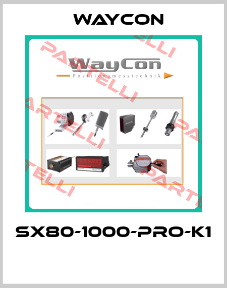 SX80-1000-PRO-K1  Waycon