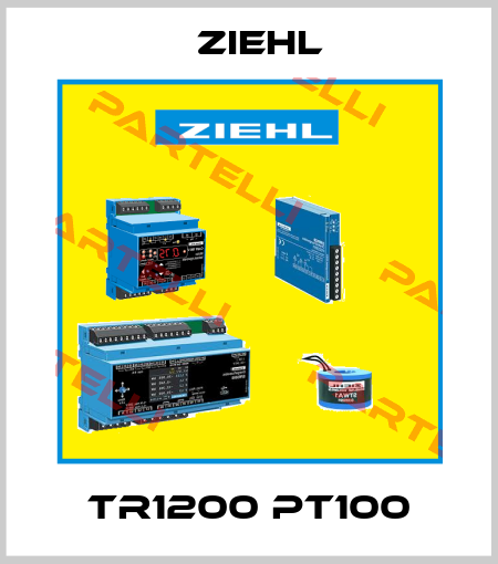 TR1200 PT100 Ziehl
