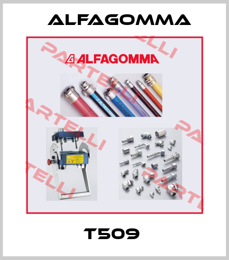T509  Alfagomma