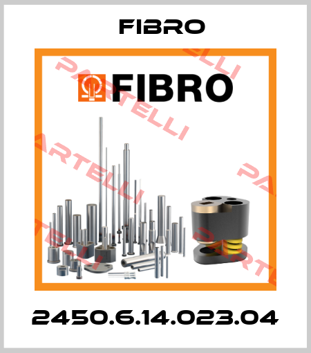 2450.6.14.023.04 Fibro