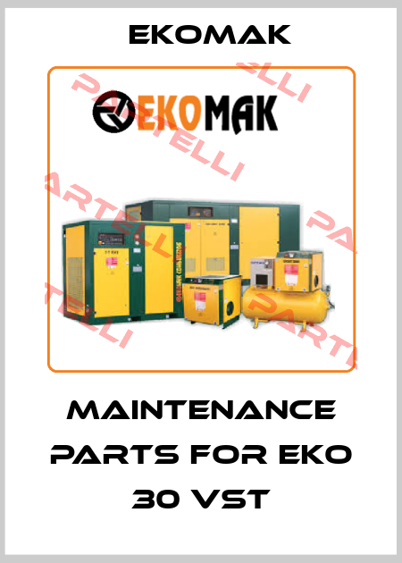 maintenance parts for EKO 30 VST Ekomak