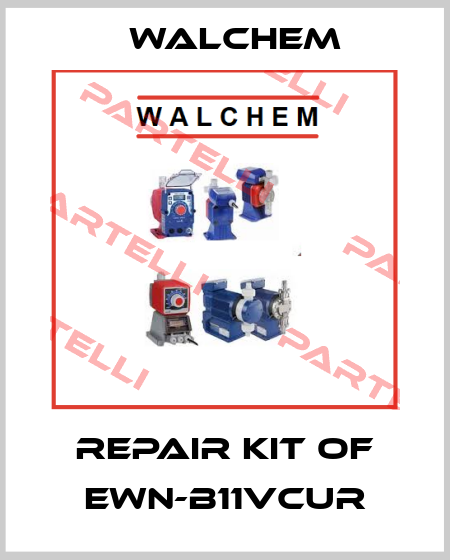 Repair kit of EWN-B11VCUR Walchem