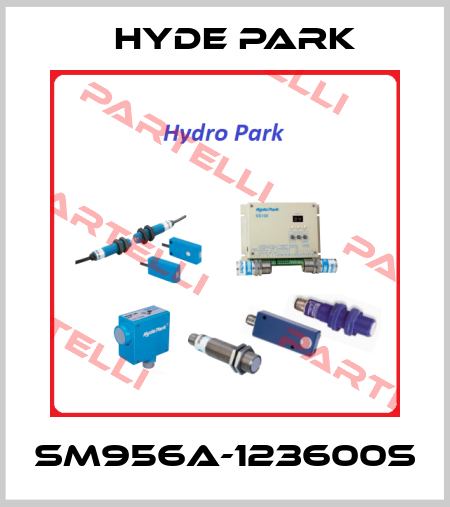 SM956A-123600S Hyde Park