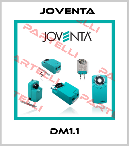 DM1.1 Joventa