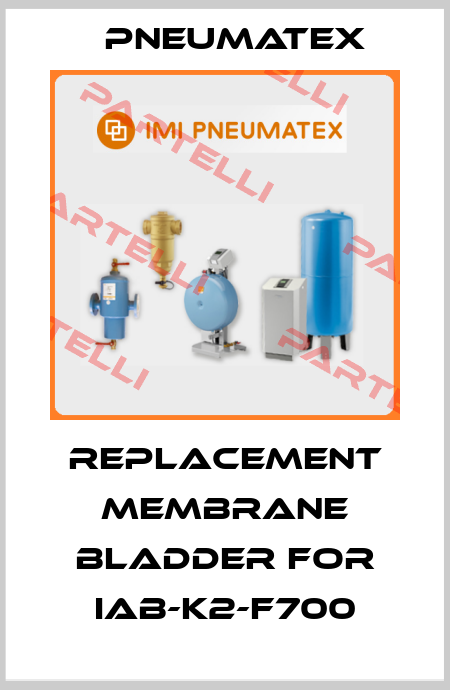 replacement membrane bladder for IAB-K2-F700 PNEUMATEX