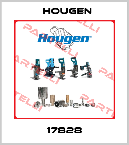 17828 Hougen