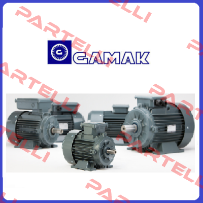 GM2F 200 L 4 Gamak