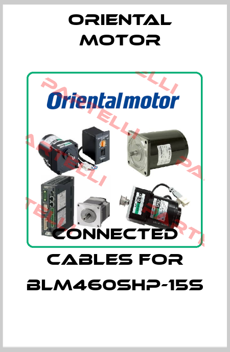 Connected cables for BLM460SHP-15S Oriental Motor