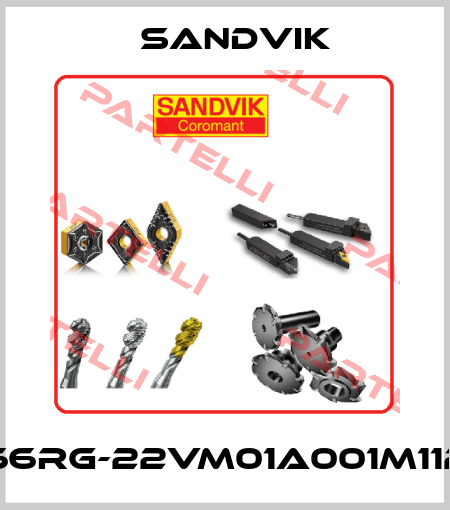 266RG-22VM01A001M1125 Sandvik