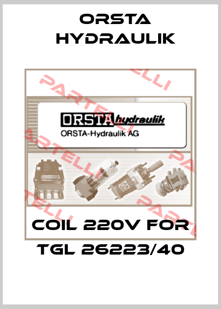 Coil 220V for TGL 26223/40 Orsta Hydraulik