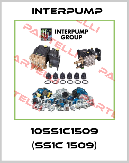 10SS1C1509 (SS1C 1509) Interpump