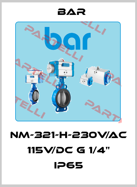 NM-321-H-230V/AC 115V/DC G 1/4" IP65 bar