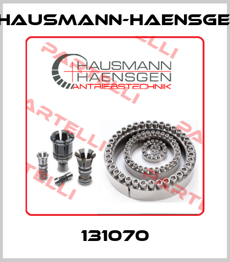 131070 Hausmann-Haensgen