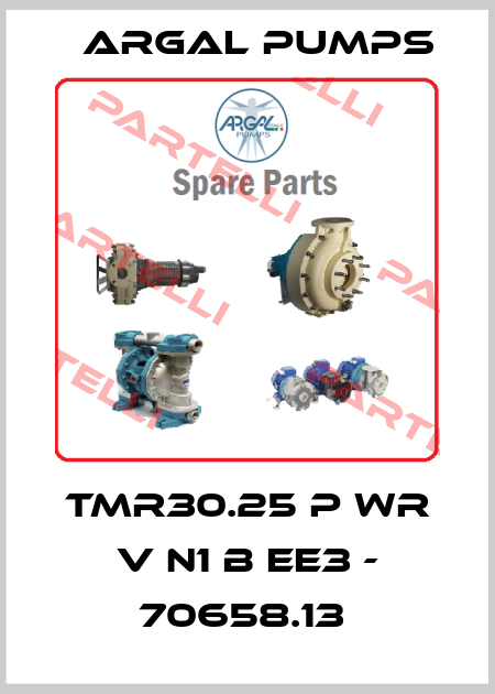 TMR30.25 P WR V N1 B EE3 - 70658.13  Argal Pumps