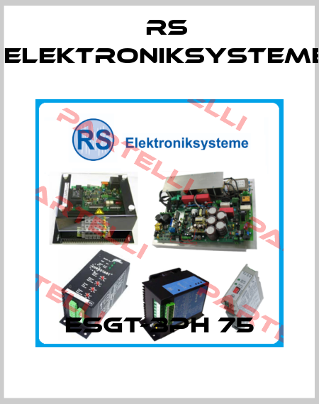 ESGT-3PH 75 RS Elektroniksysteme