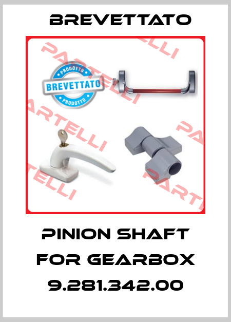 Pinion shaft for gearbox 9.281.342.00 Brevettato